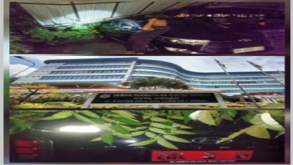 Insiden Pohon Tumbang di Kediaman Ketua DPRD Kota Medan dan Gedung DPRD Kota Medan