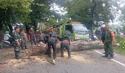 TNI Evakuasi Pohon Tumbang di Medan Polonia