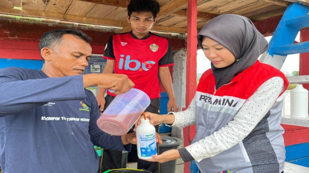 Pertamina Patra Niaga Regional Sumbagut Perkuat Adaptasi Perubahan Iklim Petambak Udang Melalui Gampong Berdikari di Lhokseumawe. Aceh