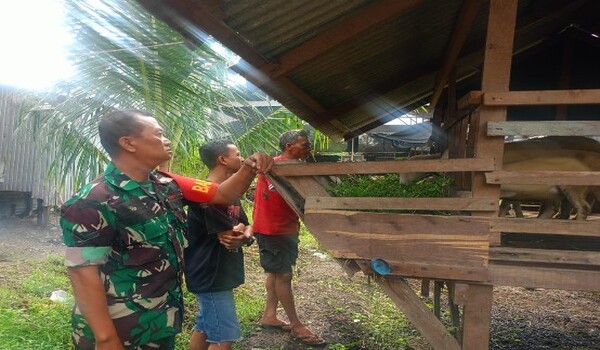 Serda Agus Tiar Dampingi Peternak Kambing di Deli Serdang, Ingatkan Kebersihan dan Vaksinasi