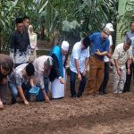 Pesantren Al Hidayah Kembangkan Pertanian, Sugiat Santoso Apresiasi Program Bawang Merah