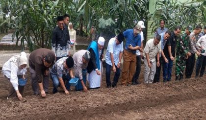 Pesantren Al Hidayah Kembangkan Pertanian, Sugiat Santoso Apresiasi Program Bawang Merah