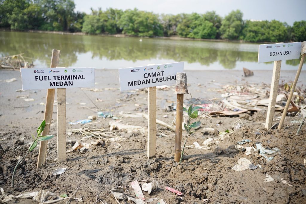Pertamina Tanam 200 Bibit Mangrove di Medan Labuhan, Perkuat Perlindungan Pesisir dari Abrasi