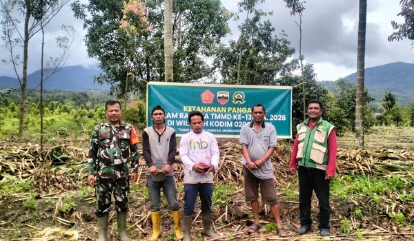 Poktan Terolih Tanam Jagung di Lahan 1 Hektare