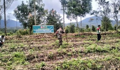 Pertanian di Desa Silima Kuta