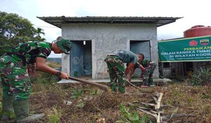 Pengabdian TNI